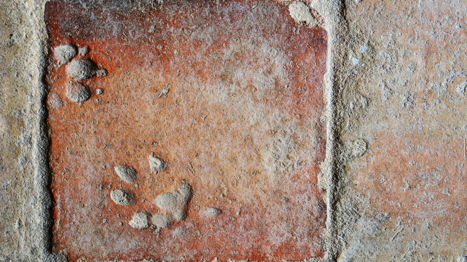 Handgefertigte Terracotta-Fliese mit sichtbarem Pfoten Abdruck – Symbol für echtes Handwerk