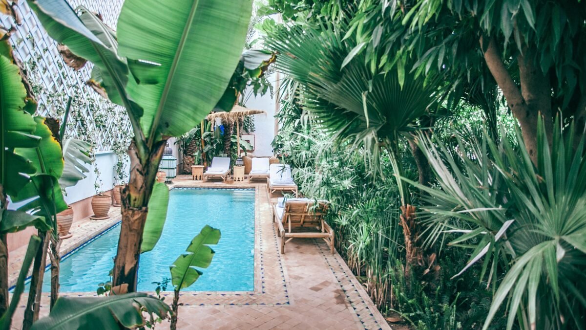 Terracotta Fliesen rund um einen Pool in einem tropisch bepflanzten Rückzugsort